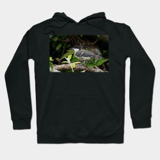 NEW  THE PANASONIC FZ 1000 PAR OKAIO CREATION Hoodie